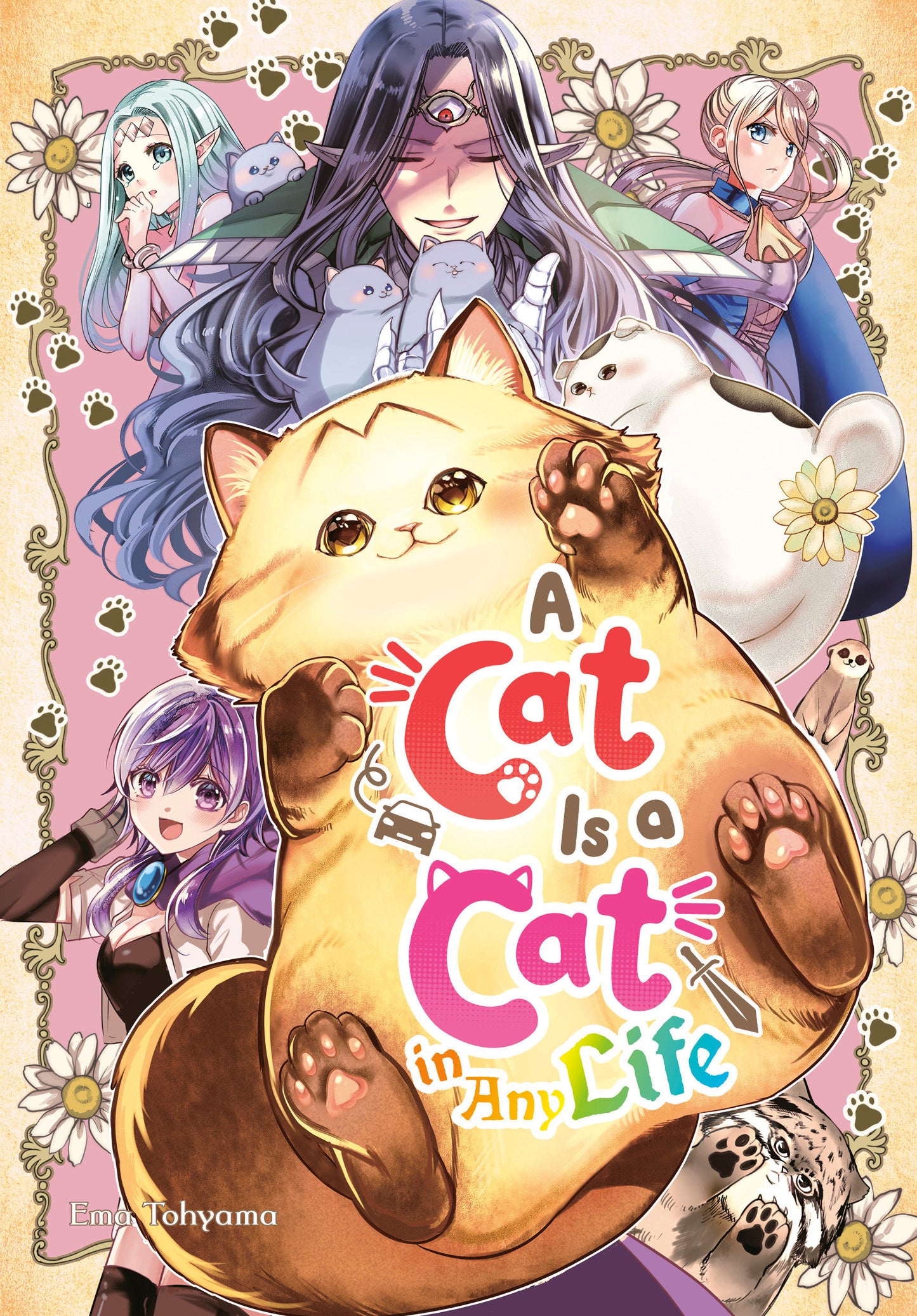 A Cat Is A Cat In Any Life