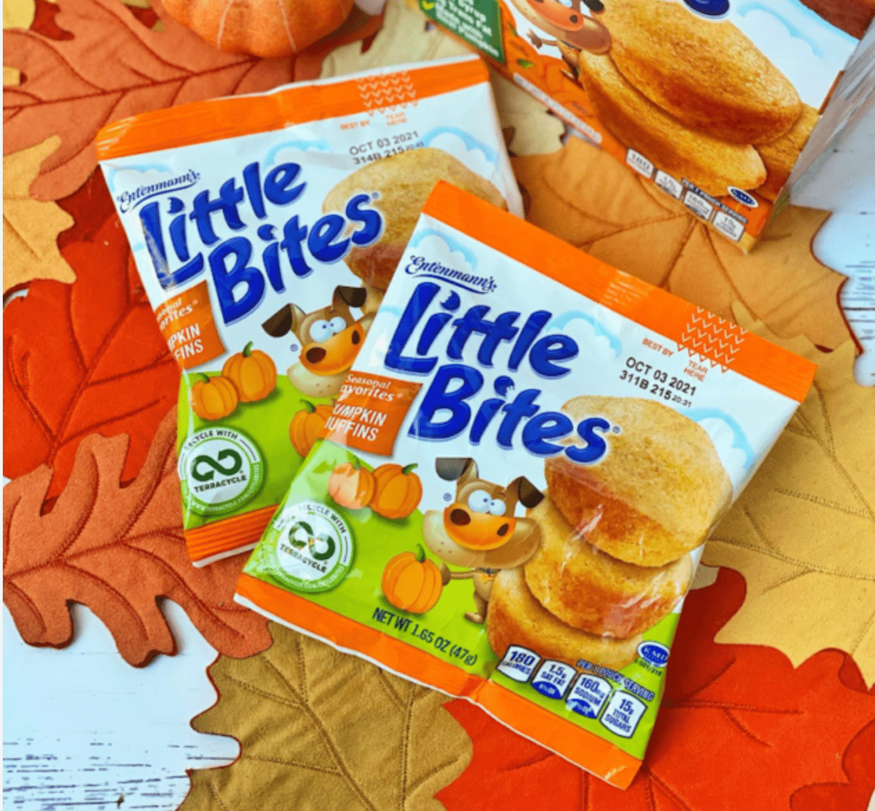 Little Bites Pumpkin Muffins - The Fourth Place