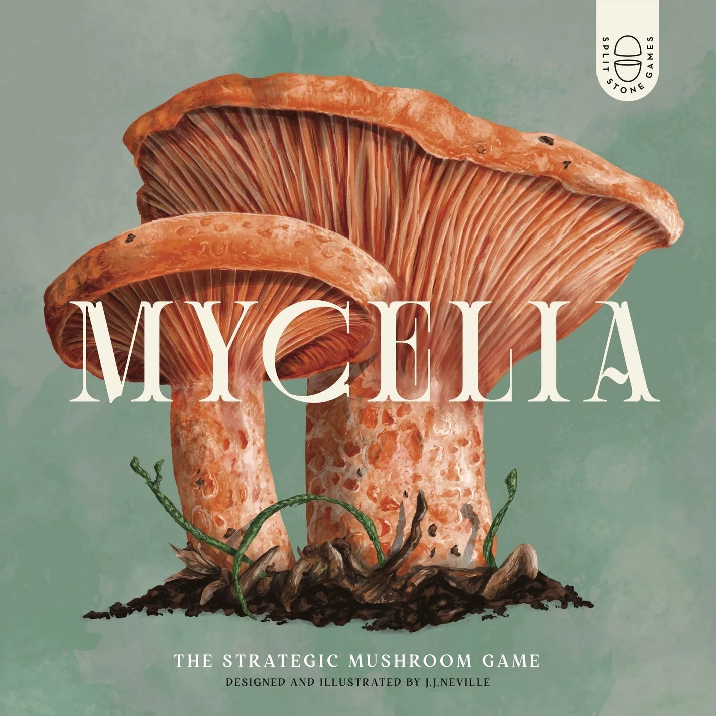 Mycelia - The Fourth Place