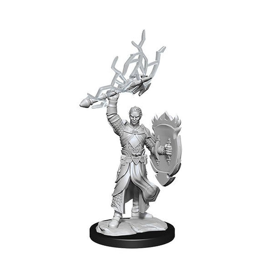 Half-Elf Paladin (2 minis) - The Fourth Place