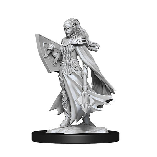 Kalashtar Cleric (2 minis) - The Fourth Place