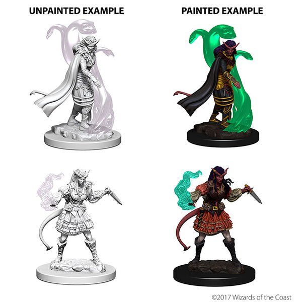 Tiefling Sorcerer (2 minis) - The Fourth Place
