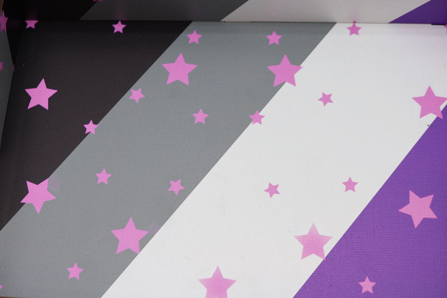Chromatic Pride Dice Tray - Asexual