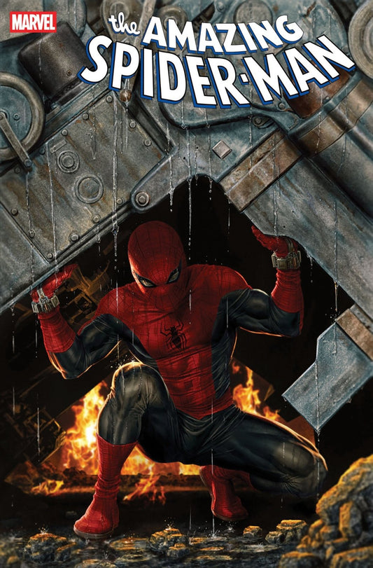 Amazing Spider - Man 14 Lee Bermejo Amazing Visions Variant - The Fourth Place