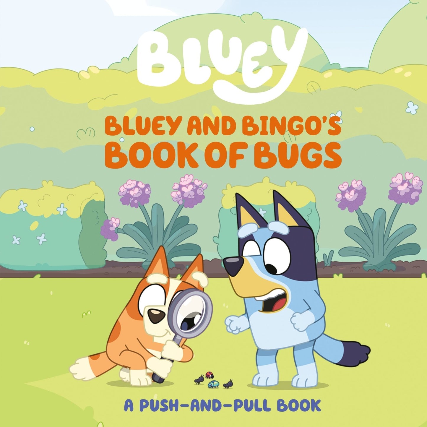 Bluey And Bingo'S Book Of Bugs - The Fourth Place