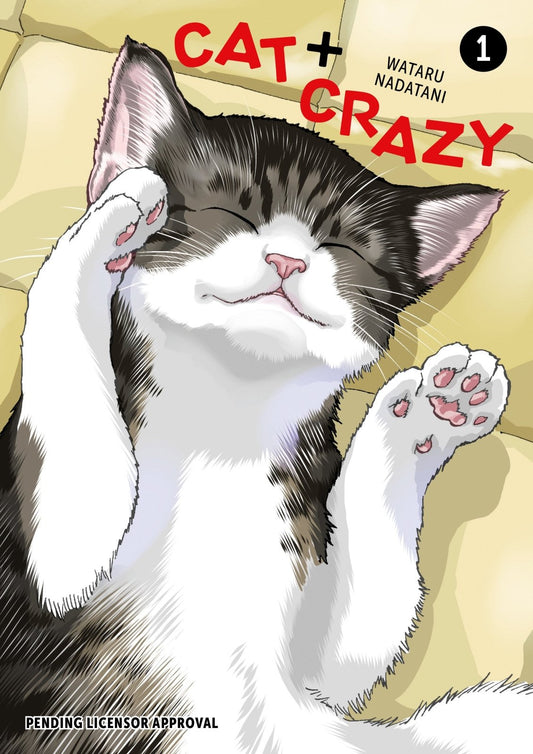 Cat + Crazy Volume 1 - The Fourth Place