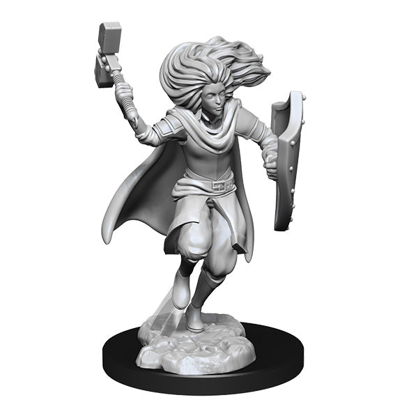 D&D Nolzur's Marvelous Minis: Wave 14- Changeling Cleric