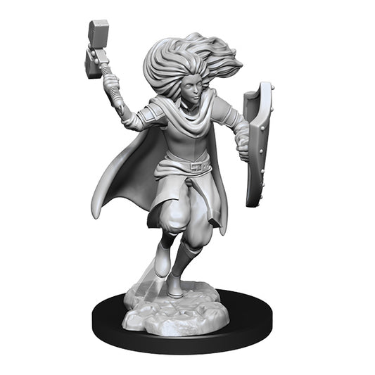 D&D Nolzur's Marvelous Minis: Wave 14- Changeling Cleric