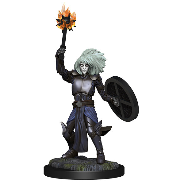 D&D Nolzur's Marvelous Minis: Wave 14- Changeling Cleric
