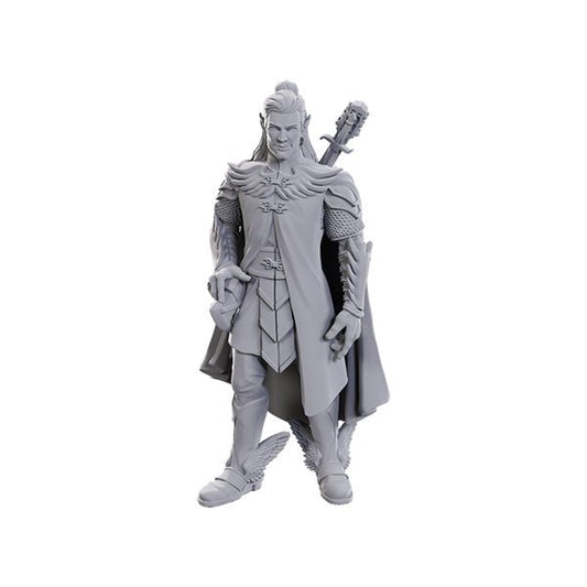 Critical Role Unpainted Miniatures: Wave 23 - Dorian Storm - The Fourth Place