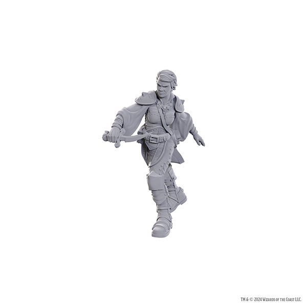 D&D Nolzur's Marvelous Minis: Wave 25 - Swashbuckler - The Fourth Place
