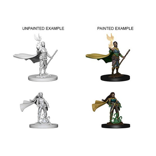 D&D Nolzur's Marvelous Minis: Wave 4 - Elf Female Druid - The Fourth Place