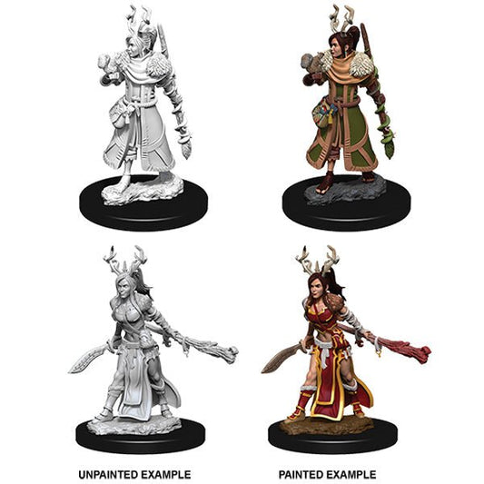 D&D Nolzur's Marvelous Minis: Wave 9 - Female Human Druid - The Fourth Place