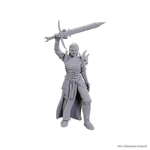 D&D Nolzur's Marvelous Minis: Wave 25- Blackguard