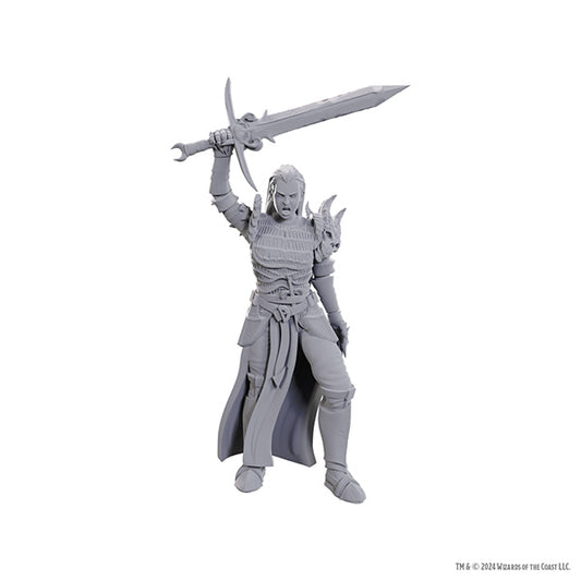 D&D Nolzur's Marvelous Minis: Wave 25- Blackguard