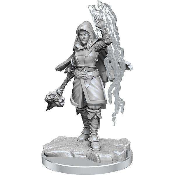 D&D Nolzur's Marvelous Minis: Wave 20- Half-Elf Warlock