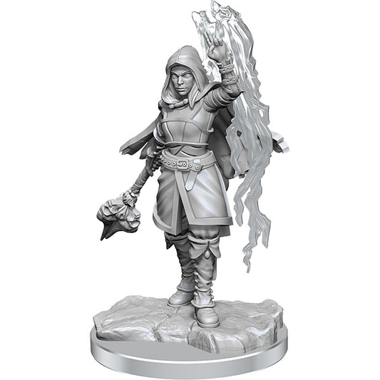 D&D Nolzur's Marvelous Minis: Wave 20- Half-Elf Warlock