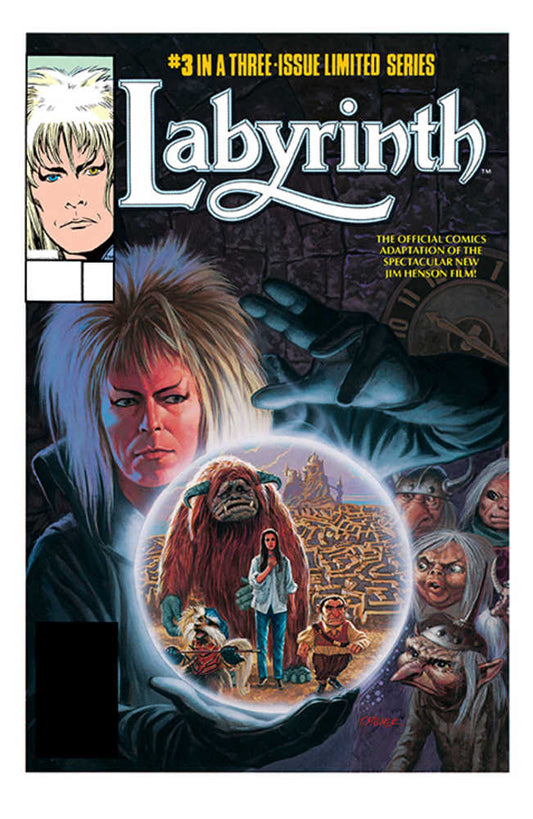 Jim Hensons Labyrinth Archive Edition #3 (Of 3) Cover A Palmer - The Fourth Place