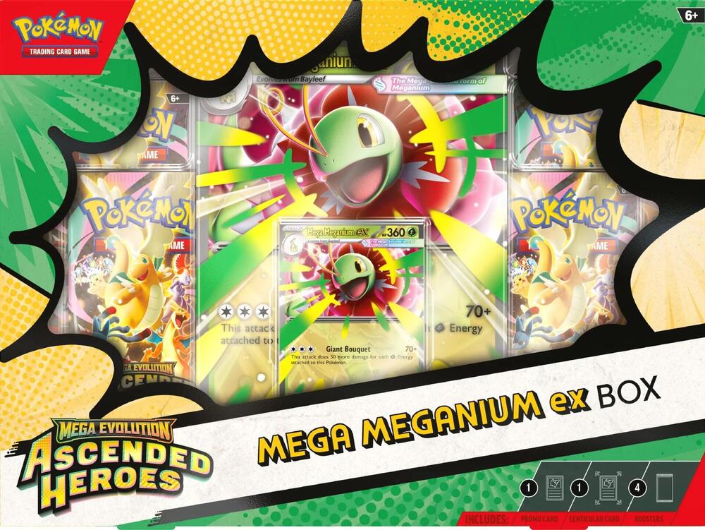 Mega Kangaskhan ex Box - Pokemon TCG