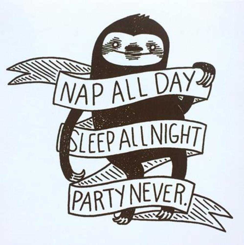 Nap All Day Sleep All Night Party Never Sloth Sticker - The Fourth Place
