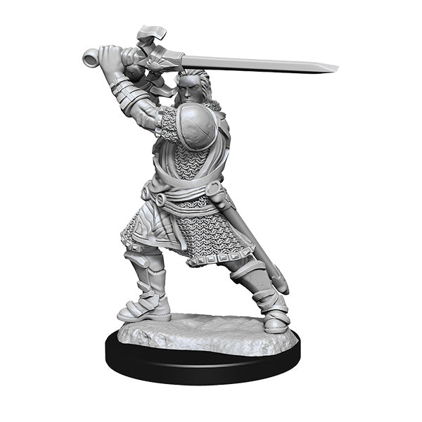 D&D Nolzur's Marvelous Minis: Wave 14- Human Paladin Male