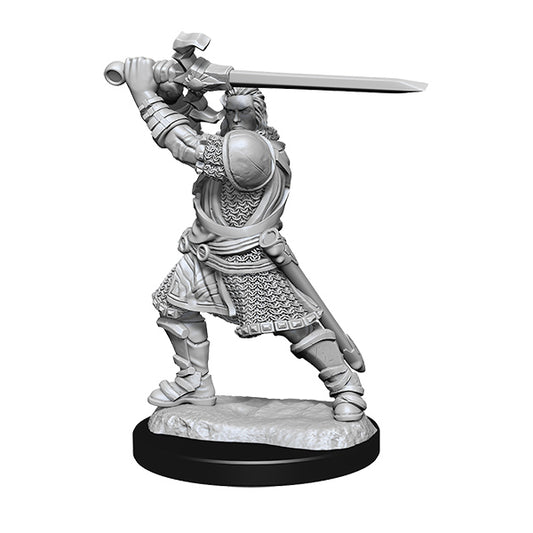 D&D Nolzur's Marvelous Minis: Wave 14- Human Paladin Male