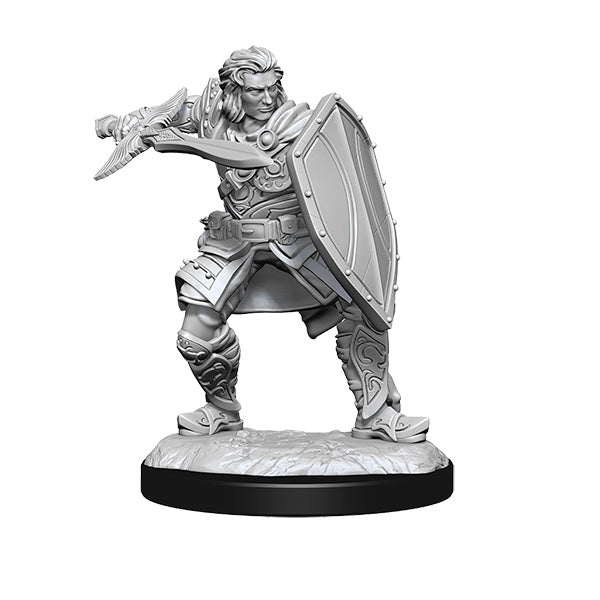 D&D Nolzur's Marvelous Minis: Wave 14- Human Paladin Male