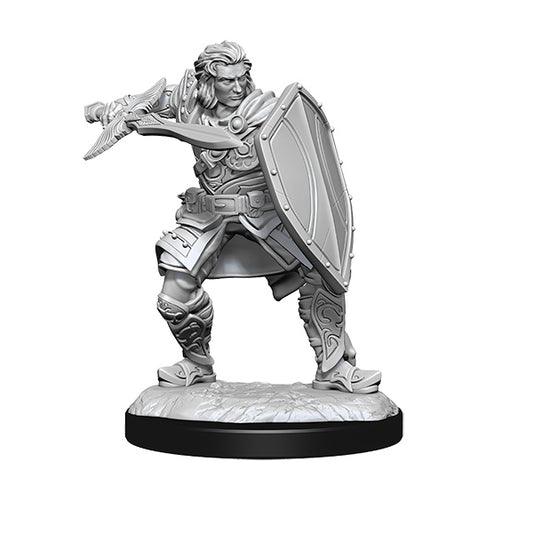 D&D Nolzur's Marvelous Minis: Wave 14- Human Paladin Male