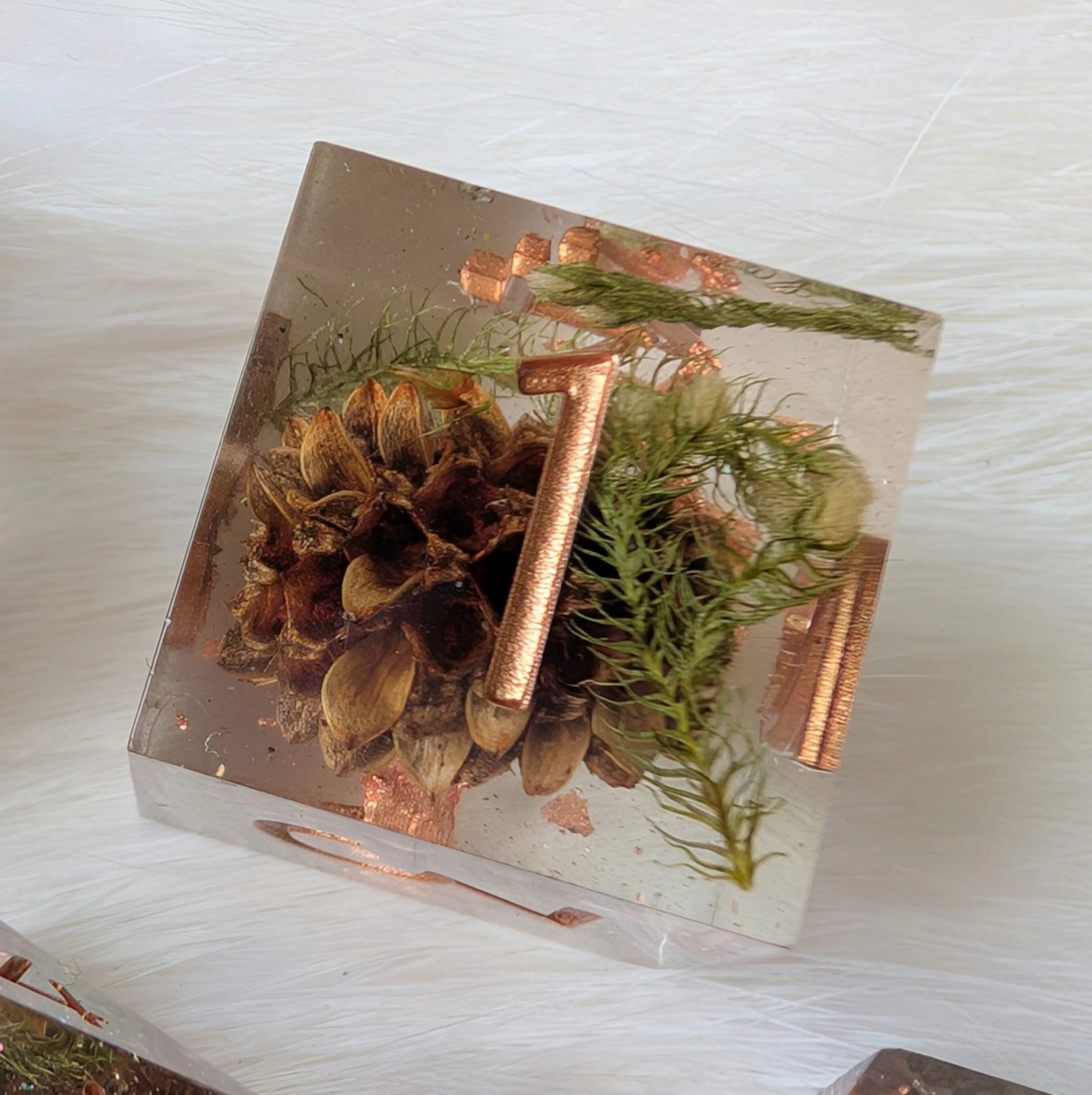 Sparkling Casuarina – Seeds of Change - Sharp Edge 7 Dice Set - The Fourth Place