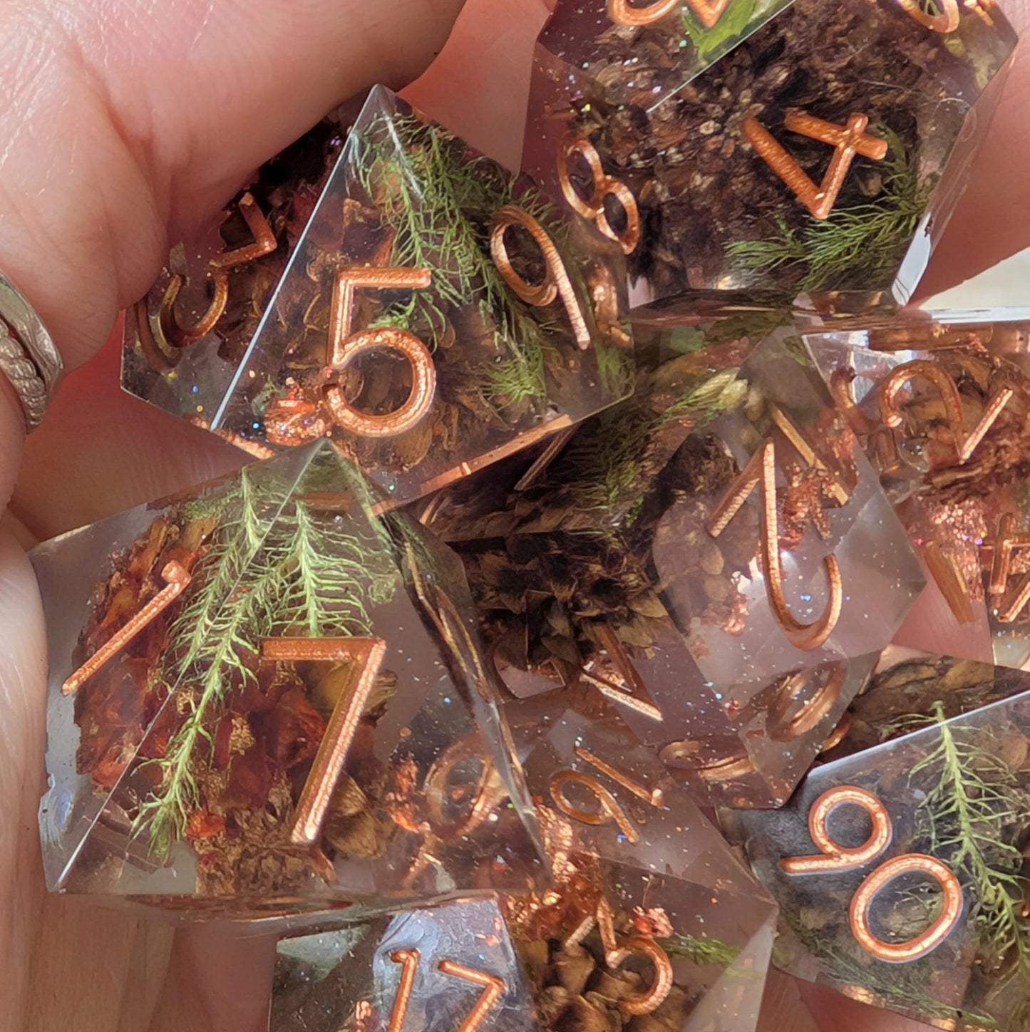Sparkling Casuarina – Seeds of Change - Sharp Edge 7 Dice Set - The Fourth Place