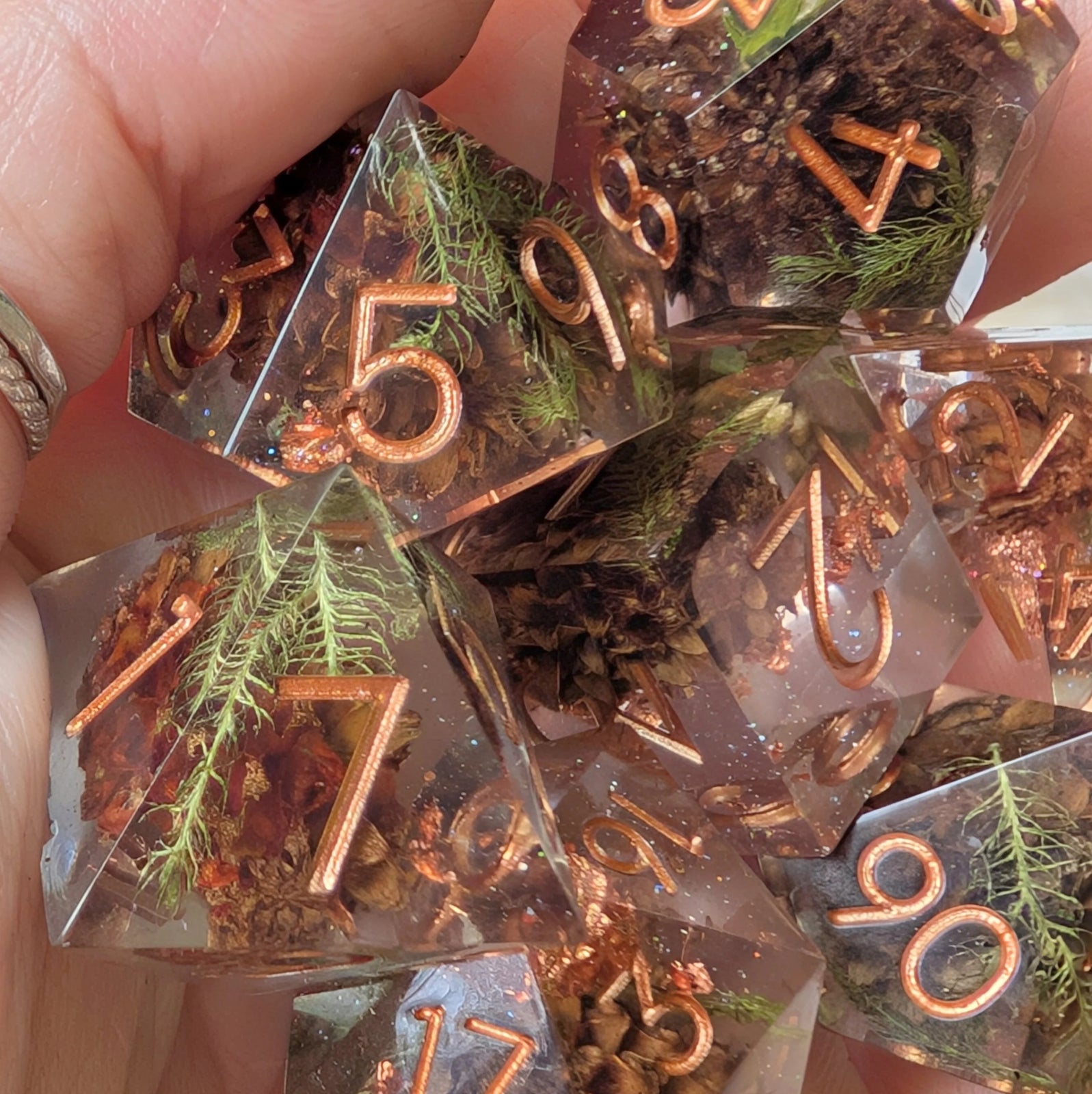 Sparkling Casuarina – Seeds of Change - Sharp Edge 7 Dice Set - The Fourth Place
