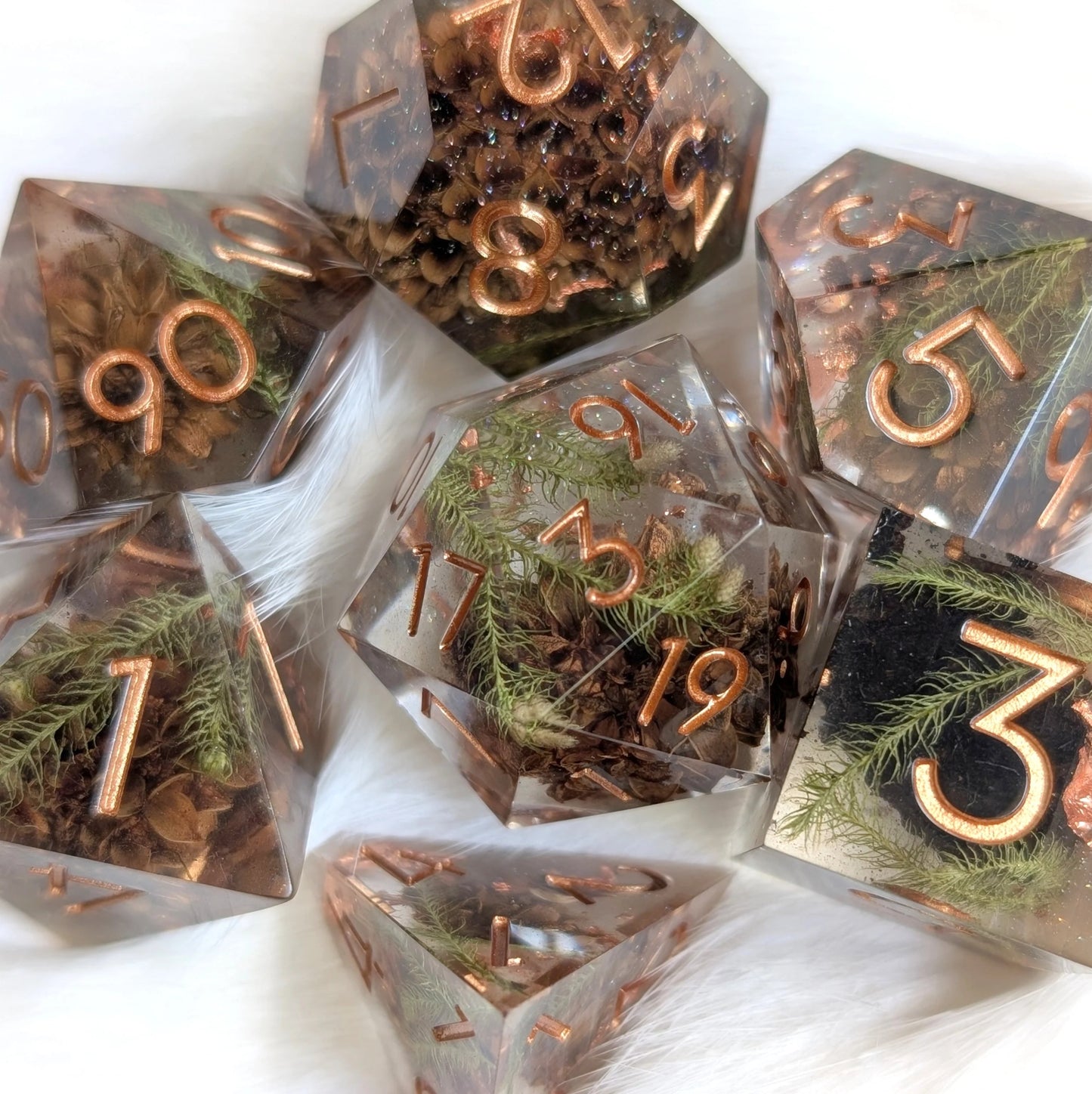 Sparkling Casuarina – Seeds of Change - Sharp Edge 7 Dice Set - The Fourth Place