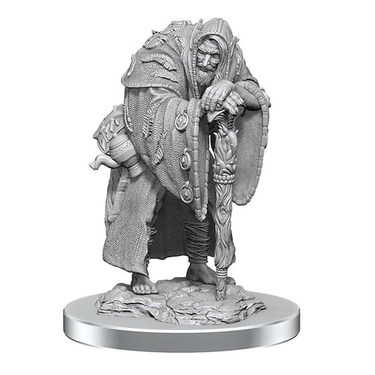 D&D Nolzur's Marvelous Minis: Wave 19- Wereravens