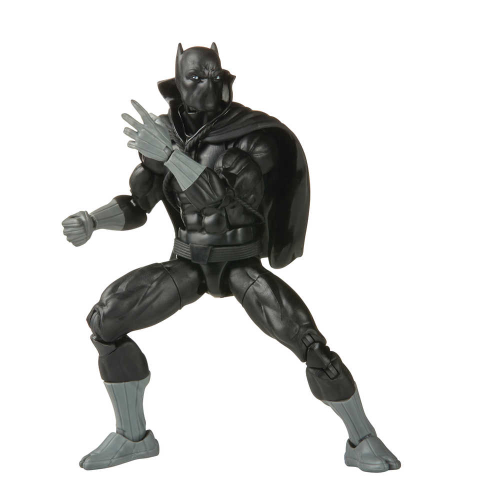 Black Panther 6 inch action figure (Marvel Legends) - The Fourth Place