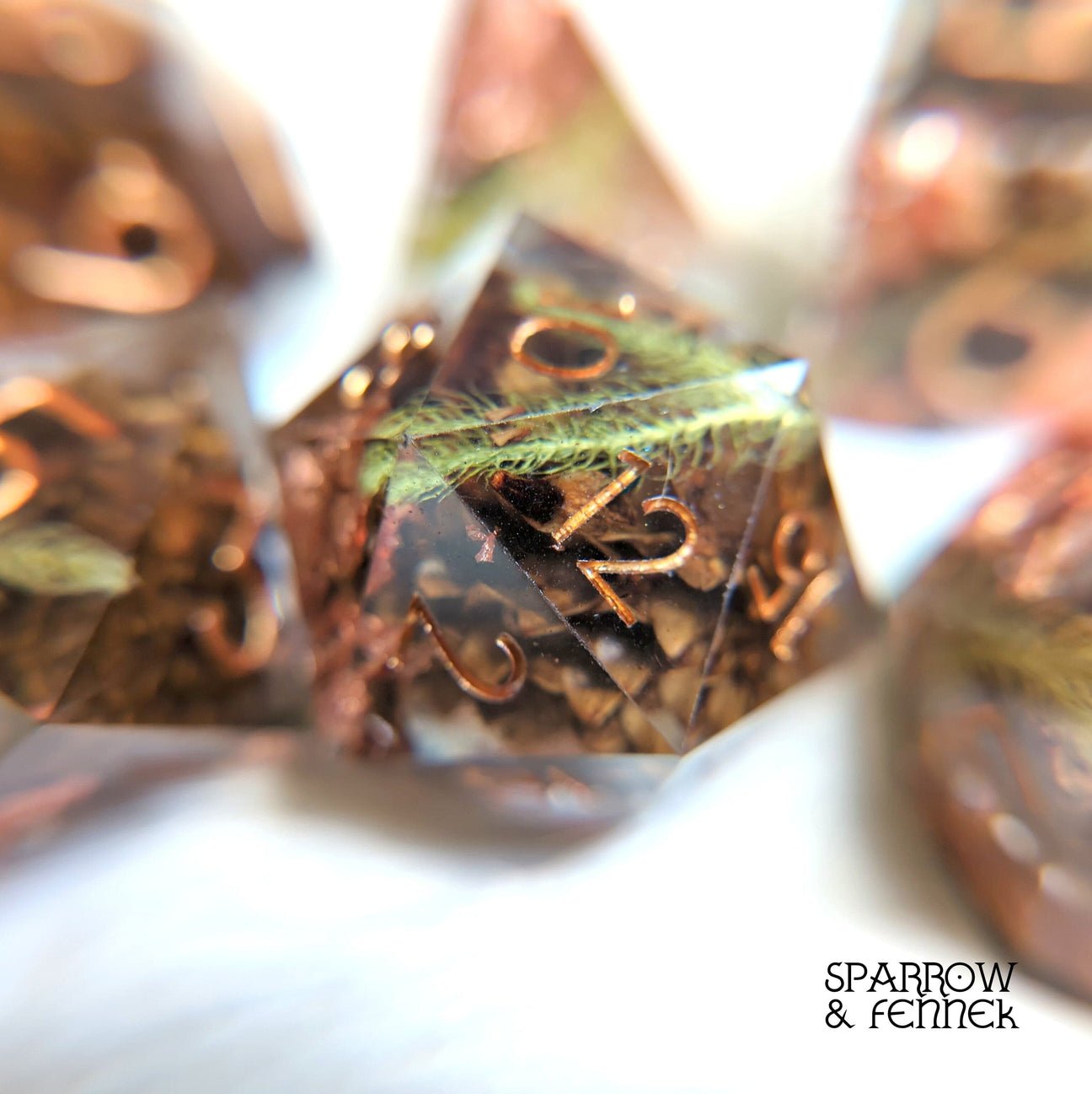 Casuarina - Seeds of Change Dice Set - The Fourth Place