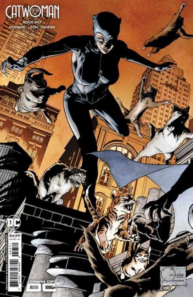 Catwoman #57 Cover F Joe Quesada Connecting Card Stock Variant (Batman Catwoman The Gotham War) - The Fourth Place