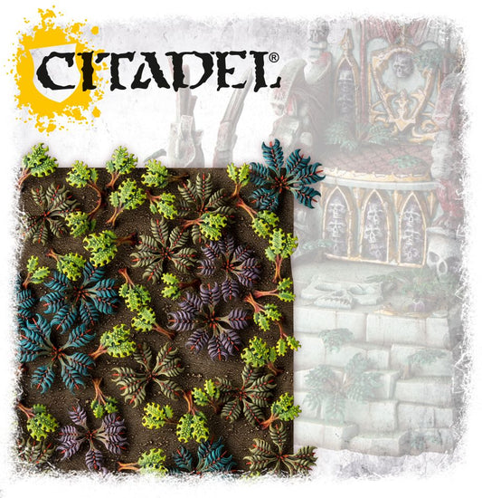 Citadel Barbed Bracken - The Fourth Place