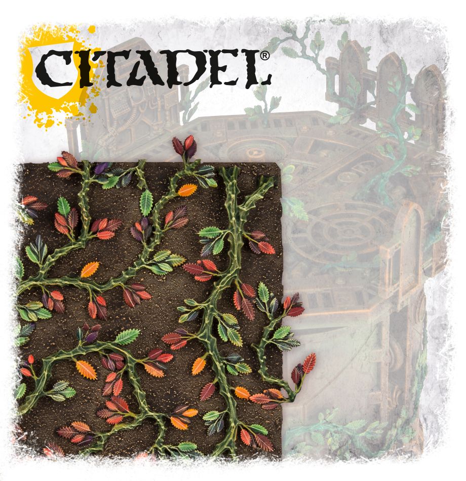 Citadel Creeping Vines - The Fourth Place