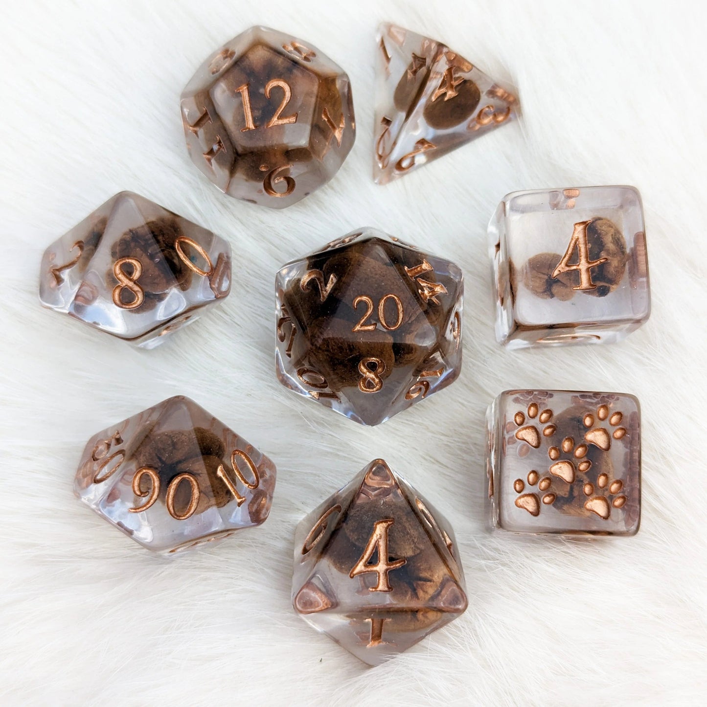 Coffee Beans (Updated) - 8 Dice Set - The Fourth Place