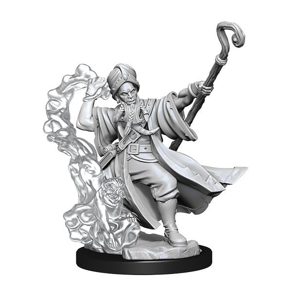 D&D Frameworks: Wave 1- Human Wizard Male - The Fourth Place