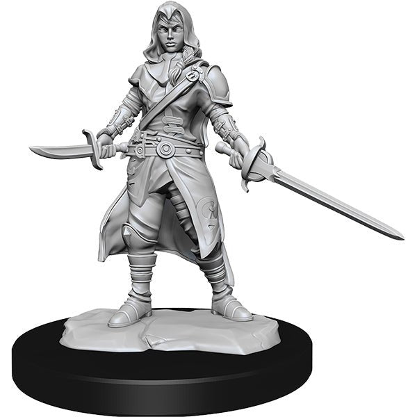 D&D Minis: Wave 14- Half-Elf Rogue Female - The Fourth Place