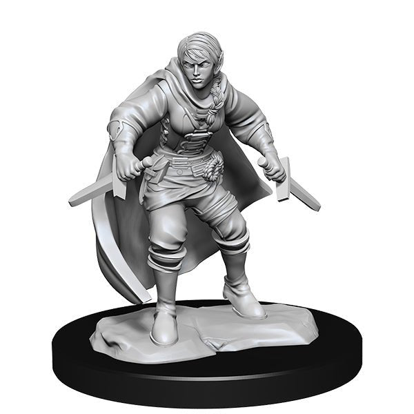 D&D Minis: Wave 14- Half-Elf Rogue Female - The Fourth Place