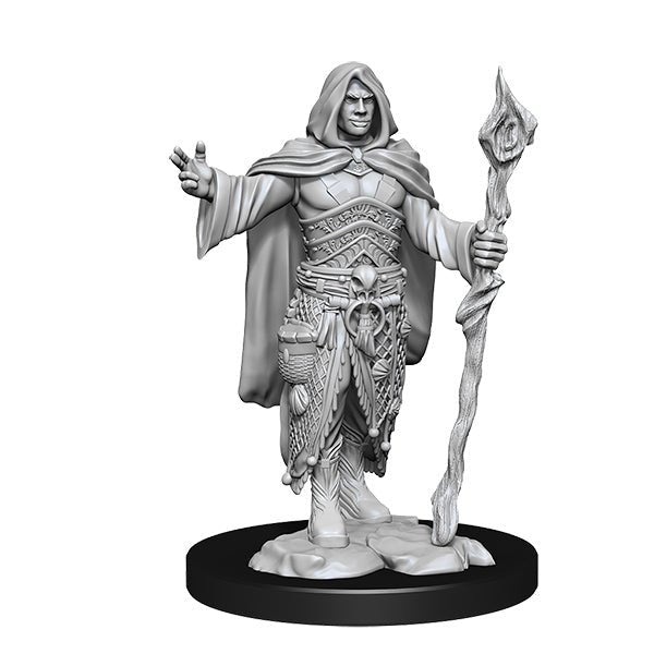 D&D Minis: Wave 14- Human Druid Male - The Fourth Place