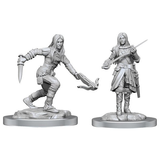 D&D Minis: Wave 17- Half-Elf Rogue Female - The Fourth Place