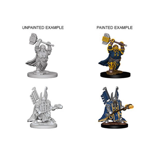 Dwarf Paladin (2 minis) - The Fourth Place