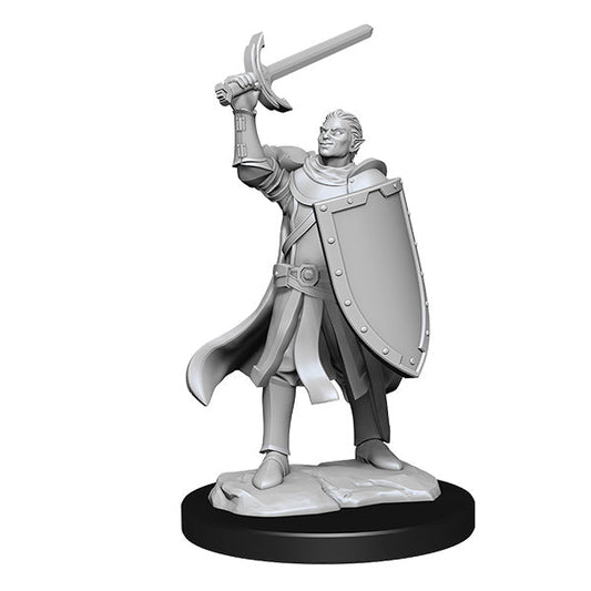 Half-Elf Paladin (2 minis) - The Fourth Place