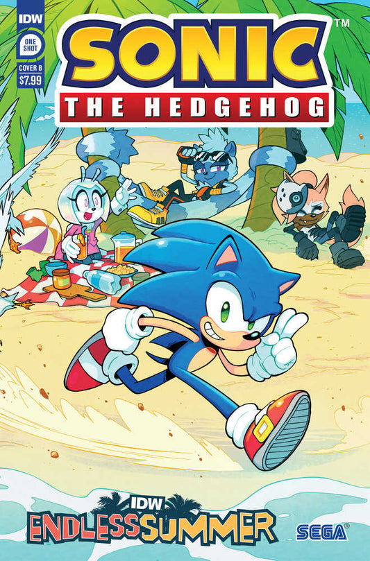 Idw Endless Summer--Sonic The Hedgehog Variant B (Lawrence Connected Cover) - The Fourth Place