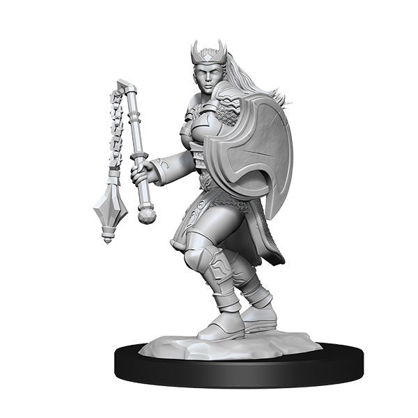 Kalashtar Cleric (2 minis) - The Fourth Place