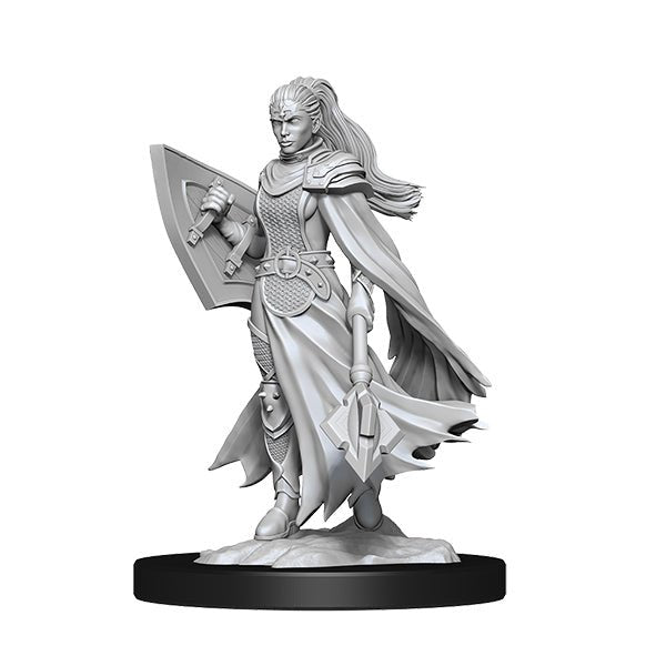 Kalashtar Cleric (2 minis) - The Fourth Place