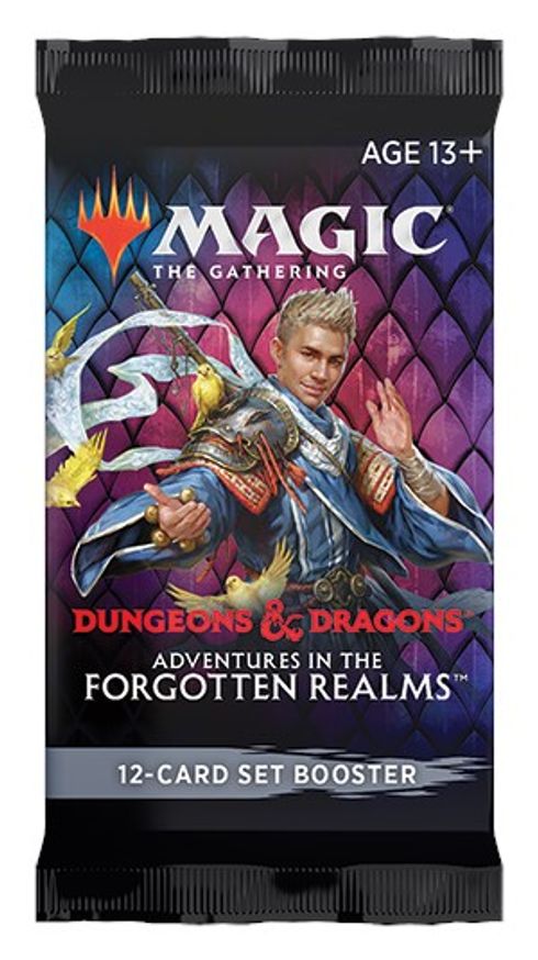 Magic the Gathering CCG: Adventures in the Forgotten Realms Set Booster - The Fourth Place